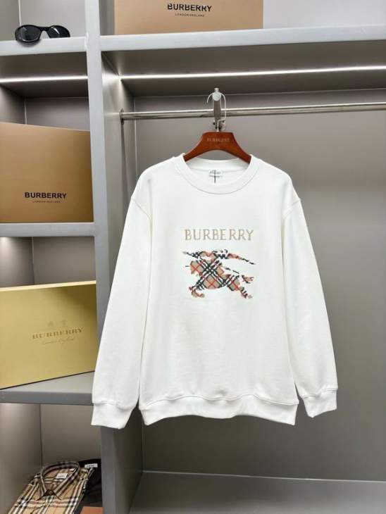 Picture of Burberry Sweatshirt _SKUBurberryS-2XLaztxB22431019